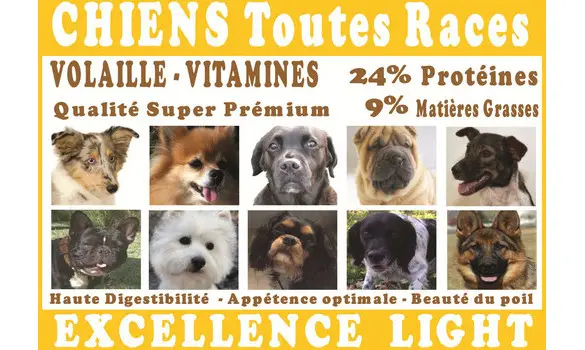 5 échantillons au choix