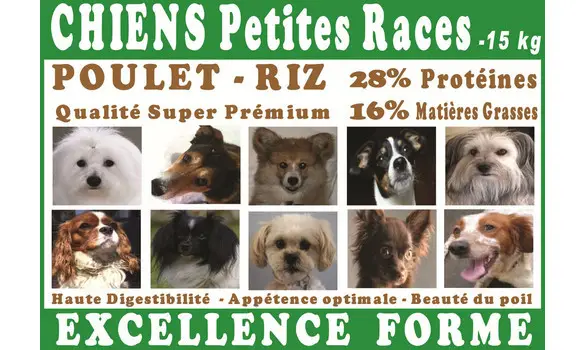 10 échantillons Croquettes