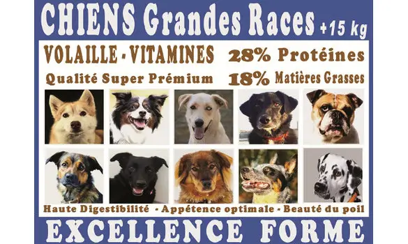 Croquettes Grande Race