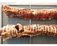 Friandises Trachées de Bœuf