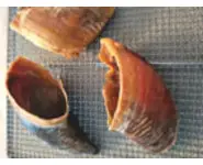 Friandises Sabots de Bœuf