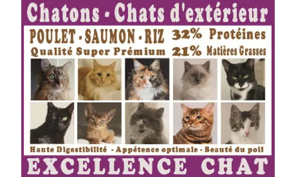 Croquettes Excellence Chaton