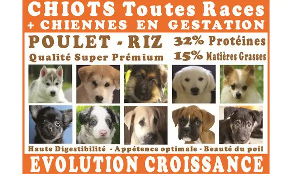 1 échantillon Croquettes