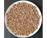 Litière Bio + Croquettes Chaton