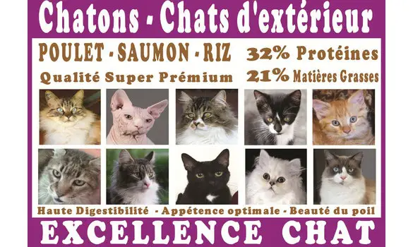3 échantillons au choix