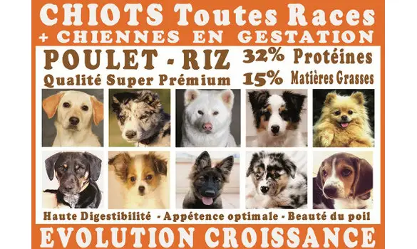 Croquettes Chiot