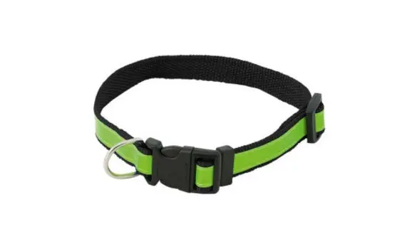 Collier réfléchissant chien