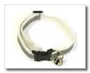 Collier réfléchissant chat