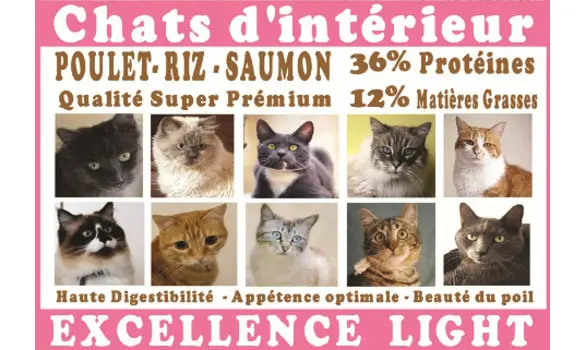 Croquettes Chat Light